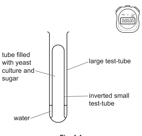 Fig. 1.1