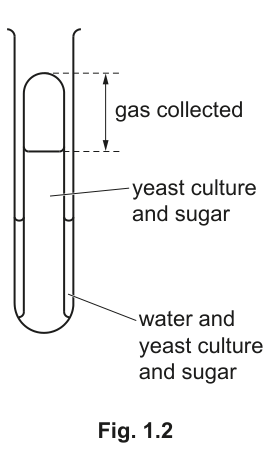 Fig. 1.2