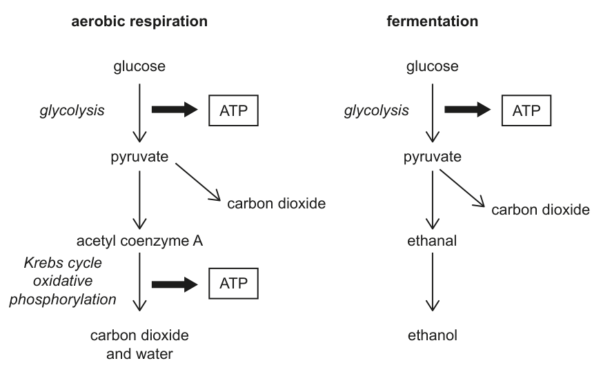 Fig. 1.1