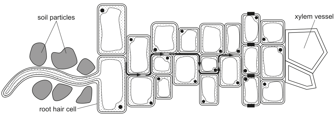 Fig. 1.1