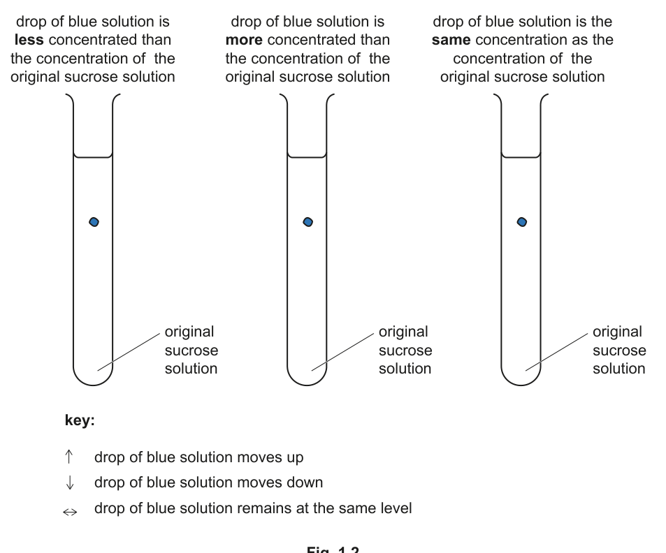 Fig. 1.2