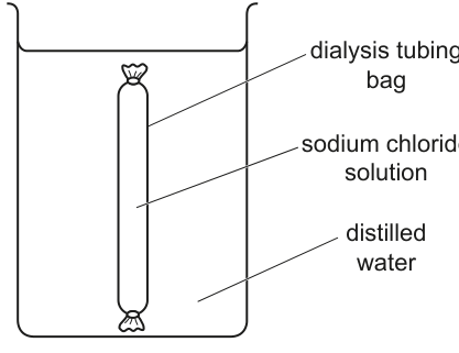 Fig. 1.6