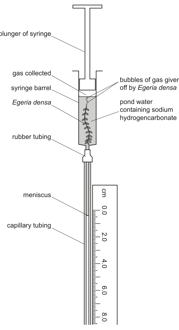 Fig. 1.1