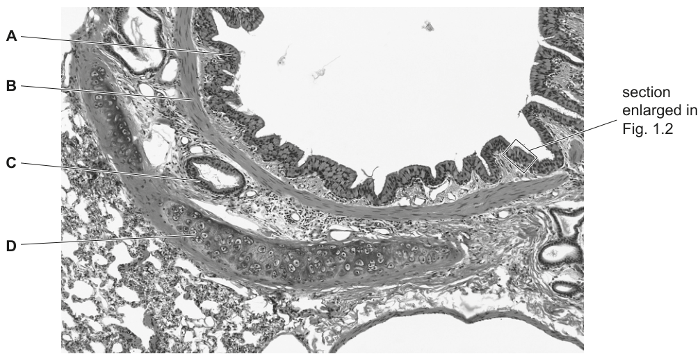 Fig. 1.1
