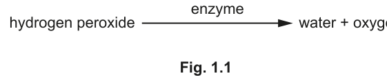Fig. 1.1