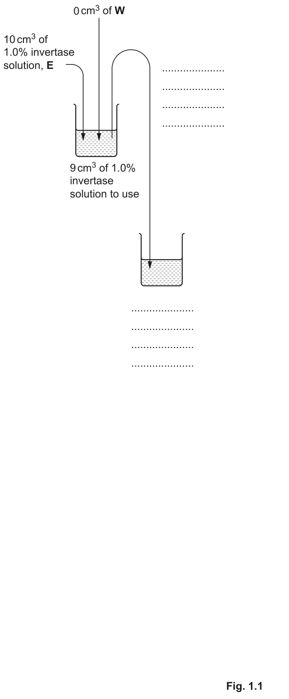 Fig. 1.1