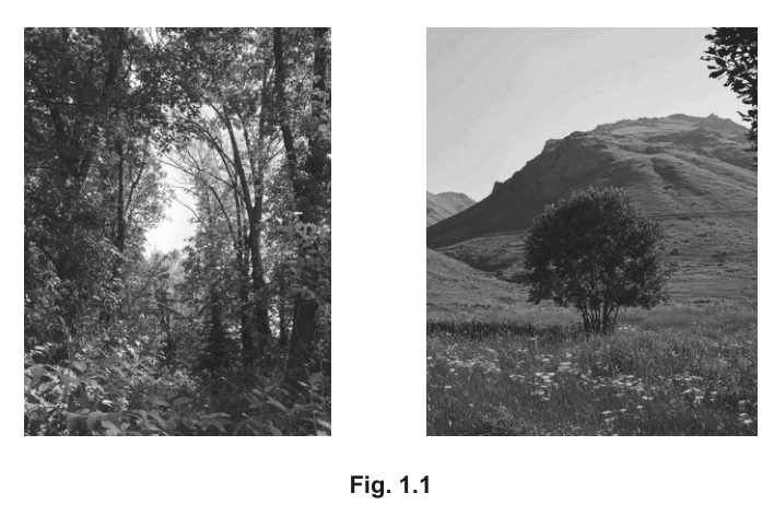 Fig. 1.1