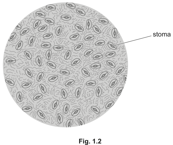 Fig. 1.2