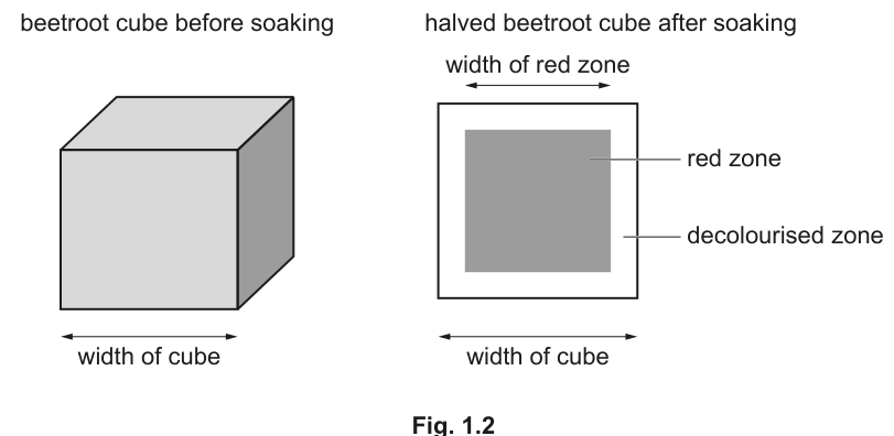 Fig. 1.2