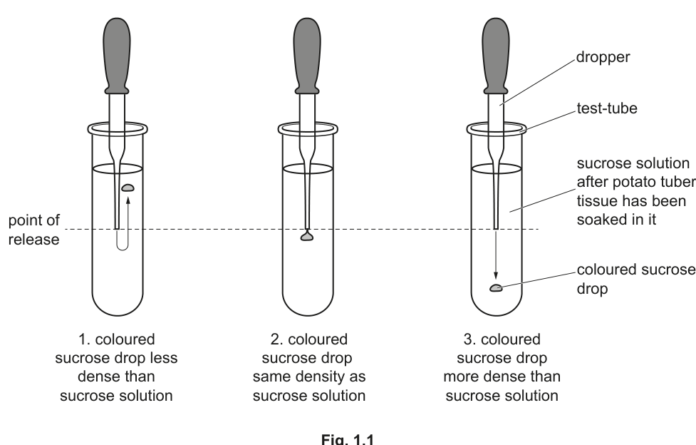 Fig. 1.1