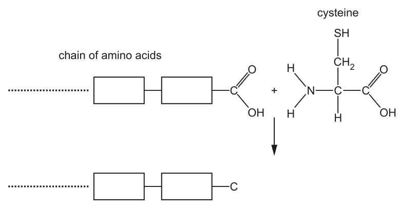 Fig. 1.1