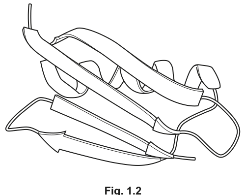 Fig. 1.2