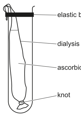 Fig. 1.1
