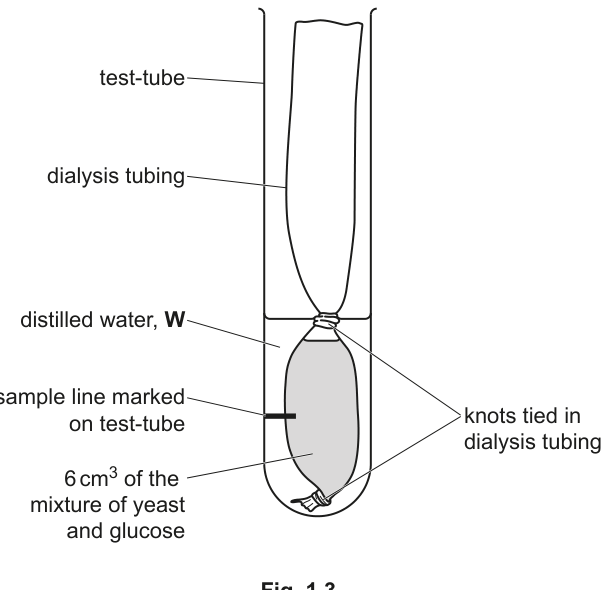 Fig. 1.3