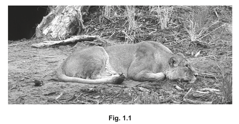 Fig. 1.1