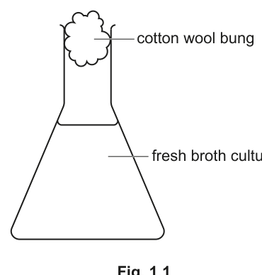 Fig. 1.1