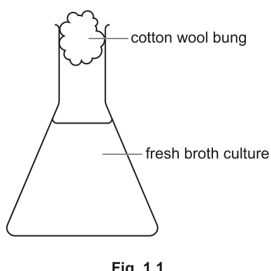 Fig. 1.1
