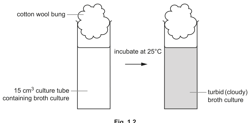 Fig. 1.2