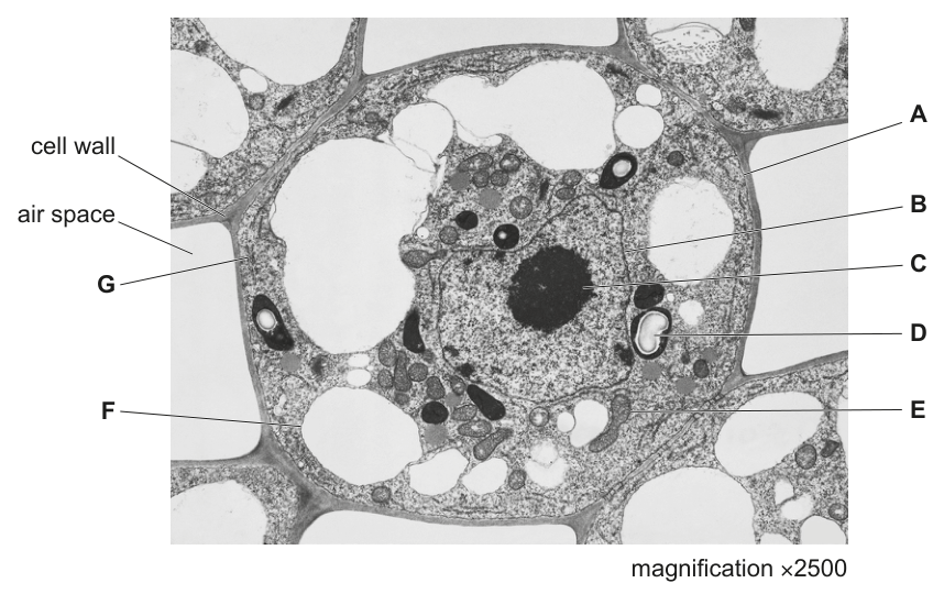 Fig. 1.1