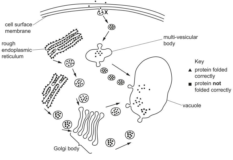 Fig. 1.2