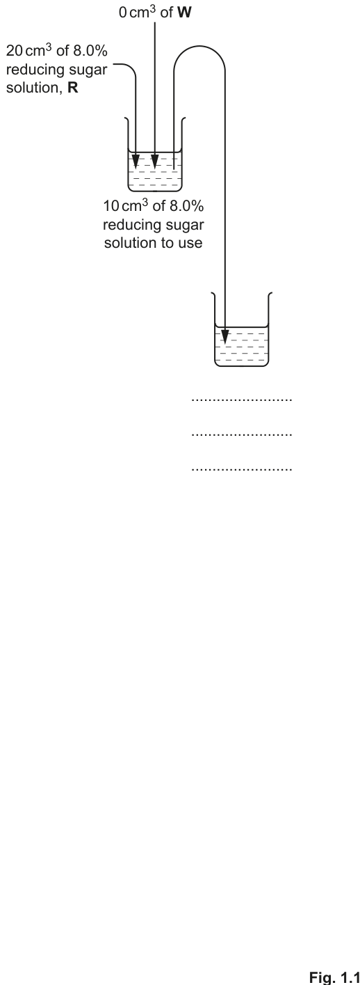Fig. 1.1