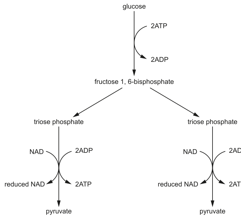 Fig. 1.1