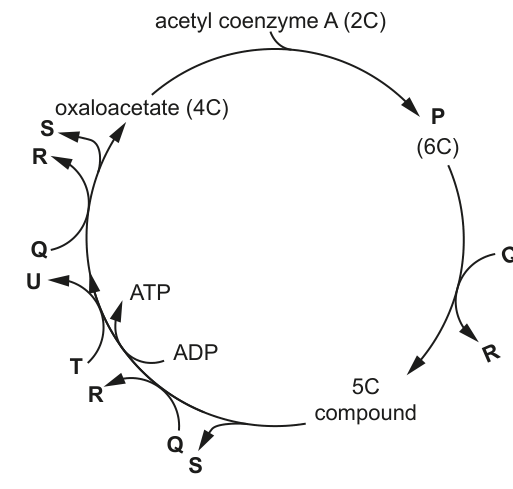 Fig. 1.1