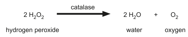 Fig. 1.1