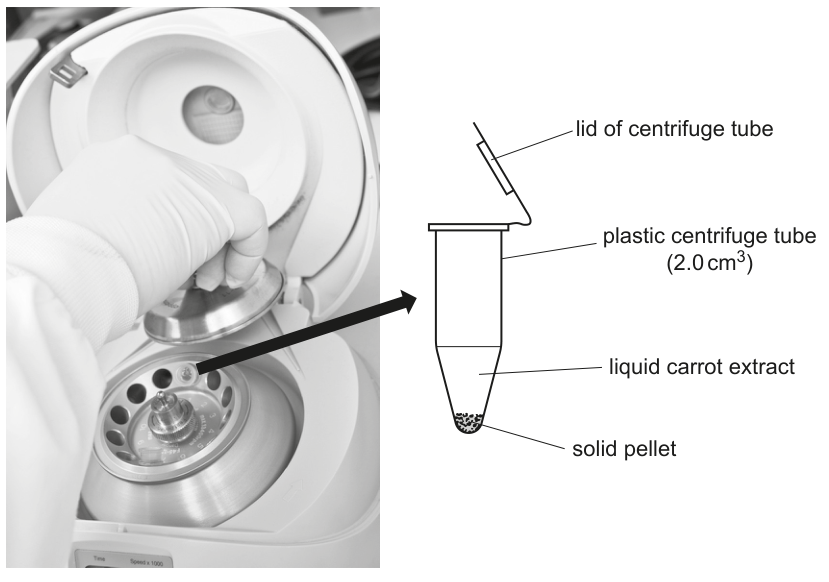 Fig. 1.3