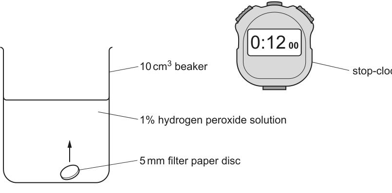 Fig. 1.4