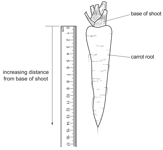 Fig. 1.5