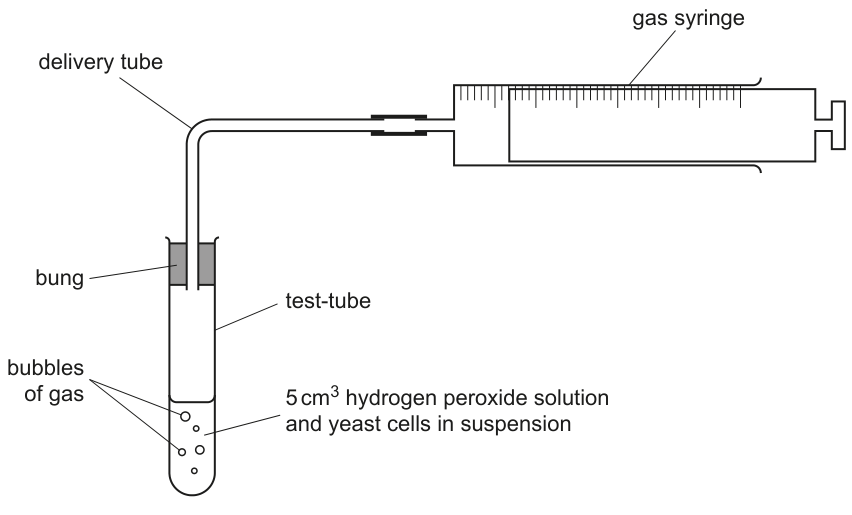 Fig. 1.6