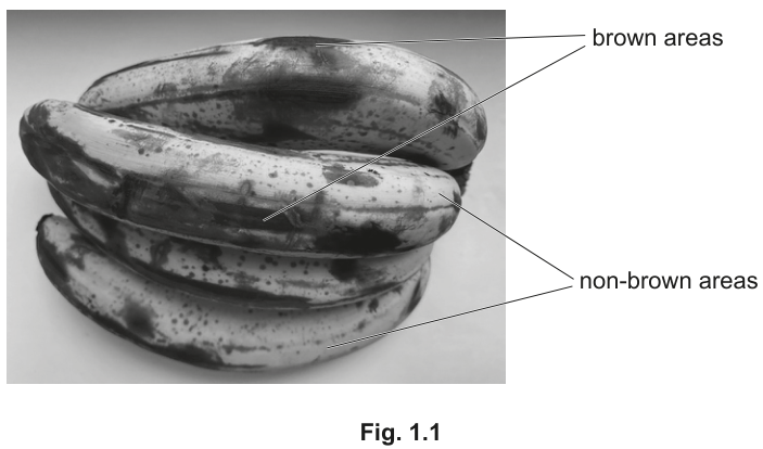 Fig. 1.1