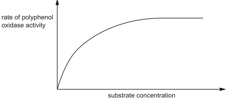 Fig. 1.3