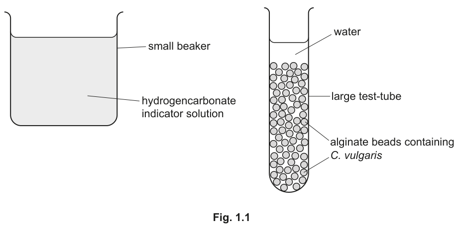 Fig. 1.1
