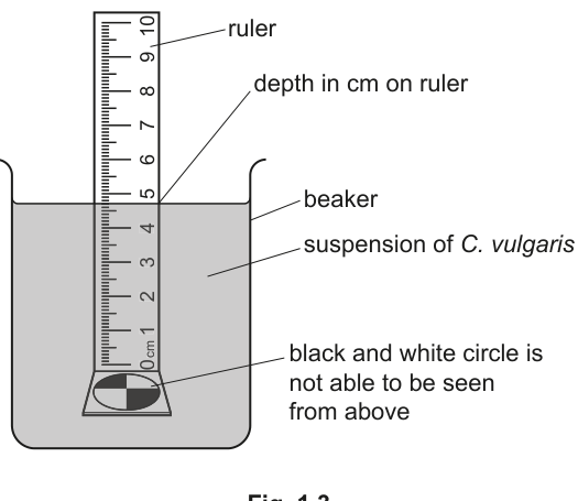 Fig. 1.3