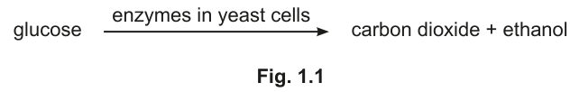 Fig. 1.1