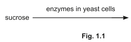 Fig. 1.1
