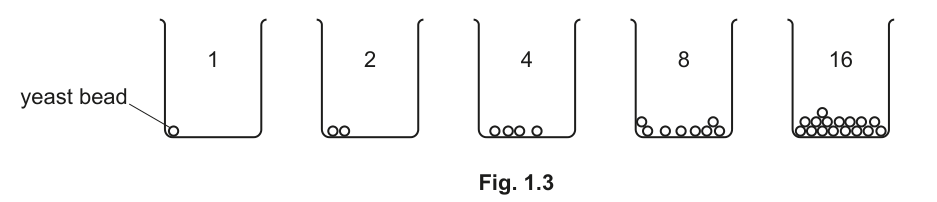 Fig. 1.3