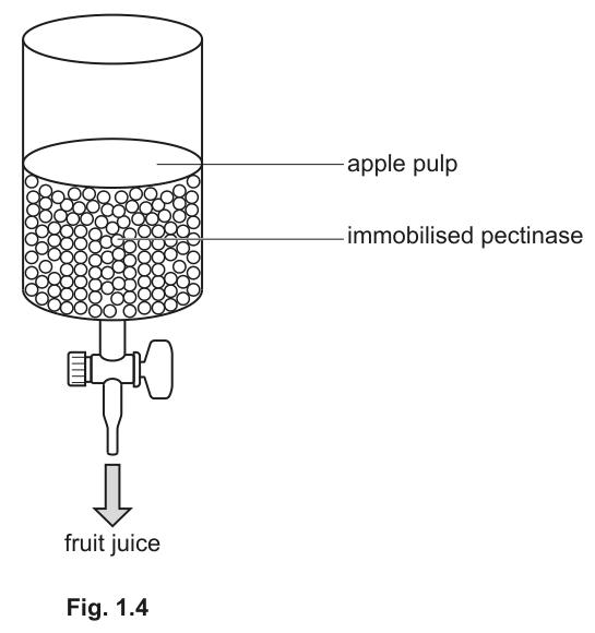 Fig. 1.4