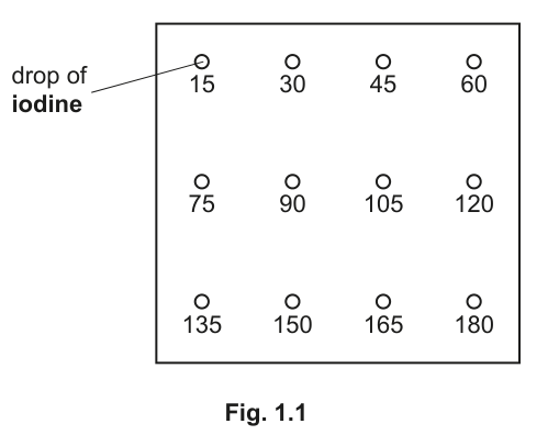 Fig. 1.1
