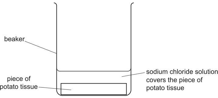 Fig. 1.1