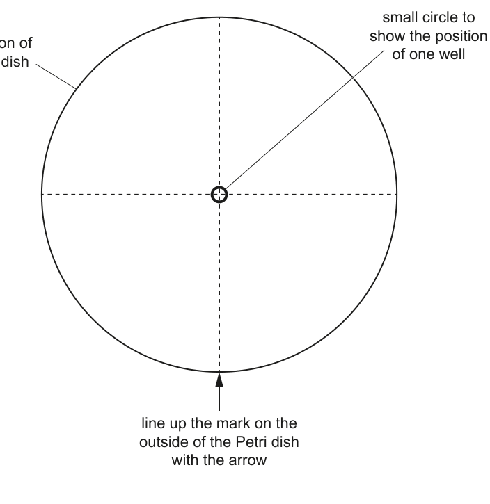 Fig. 1.2