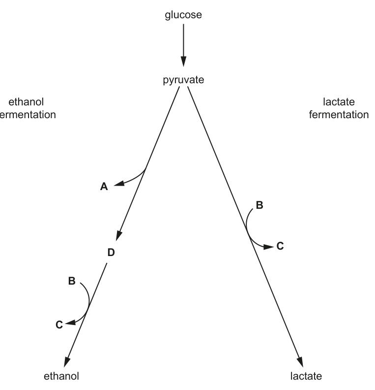 Fig. 1.1