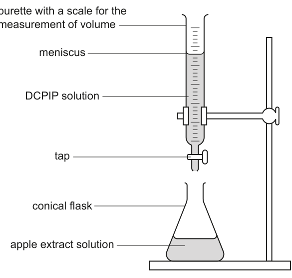 Fig. 1.2
