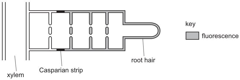 Fig. 29.1