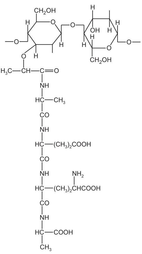 Fig. 12.1