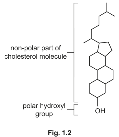 Fig. 1.2