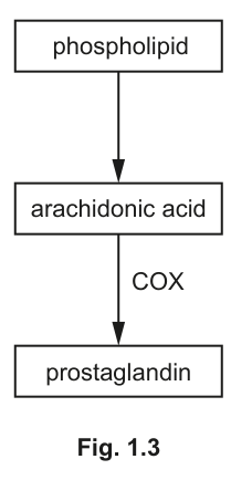 Fig. 1.3