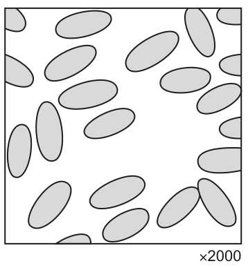 Fig. 2.1
